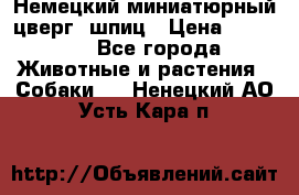 Немецкий миниатюрный(цверг) шпиц › Цена ­ 50 000 - Все города Животные и растения » Собаки   . Ненецкий АО,Усть-Кара п.